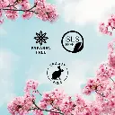 71xLe947nOL._SX522_.webp