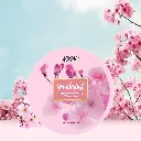 61kmriBaJXL._SX522_.webp